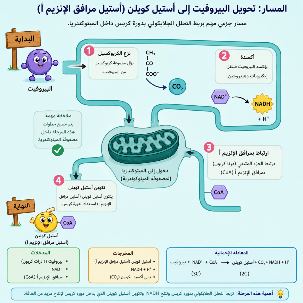 البيروفيت