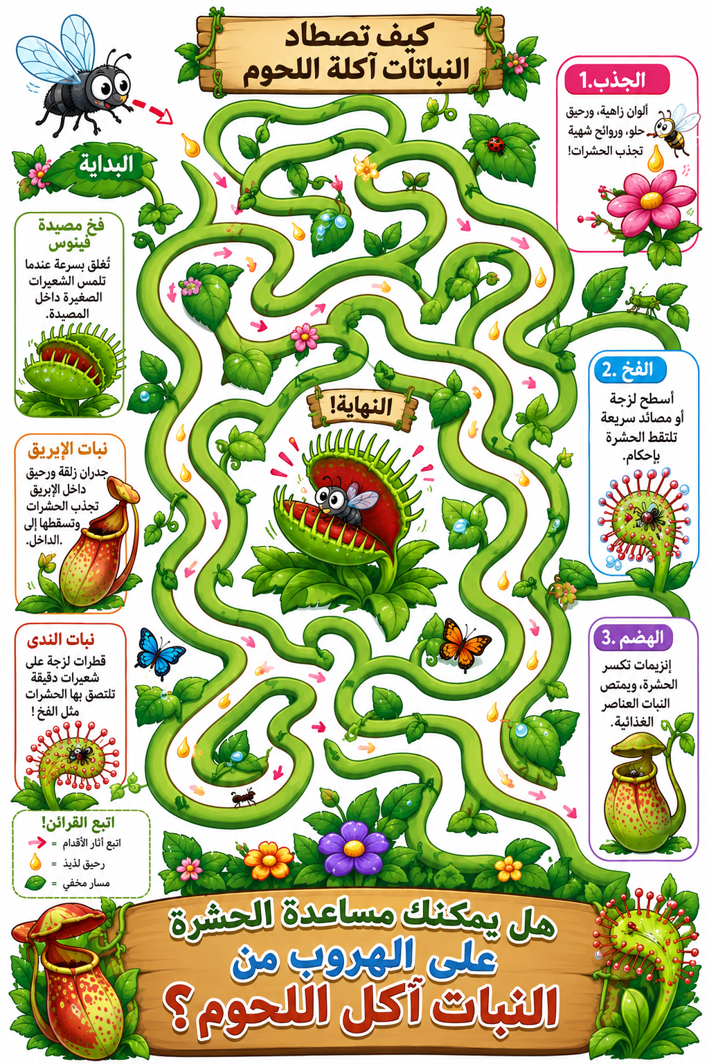 متاهة اكلة الحشرات