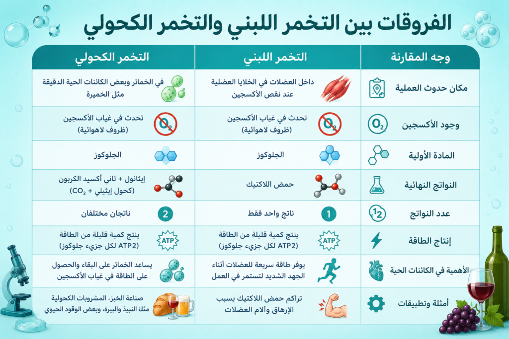 مقارنة التخمر