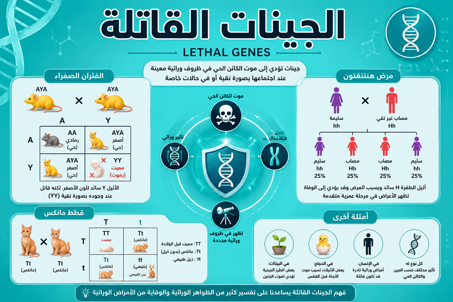 بارزة الجينات القاتلة