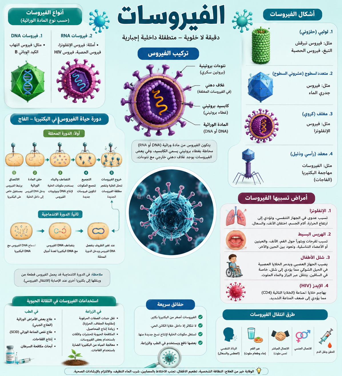 بارزة الفيروس