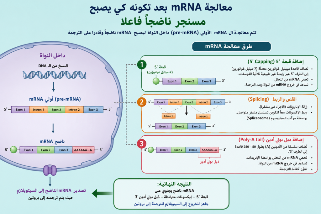 معالجة الماسنجر