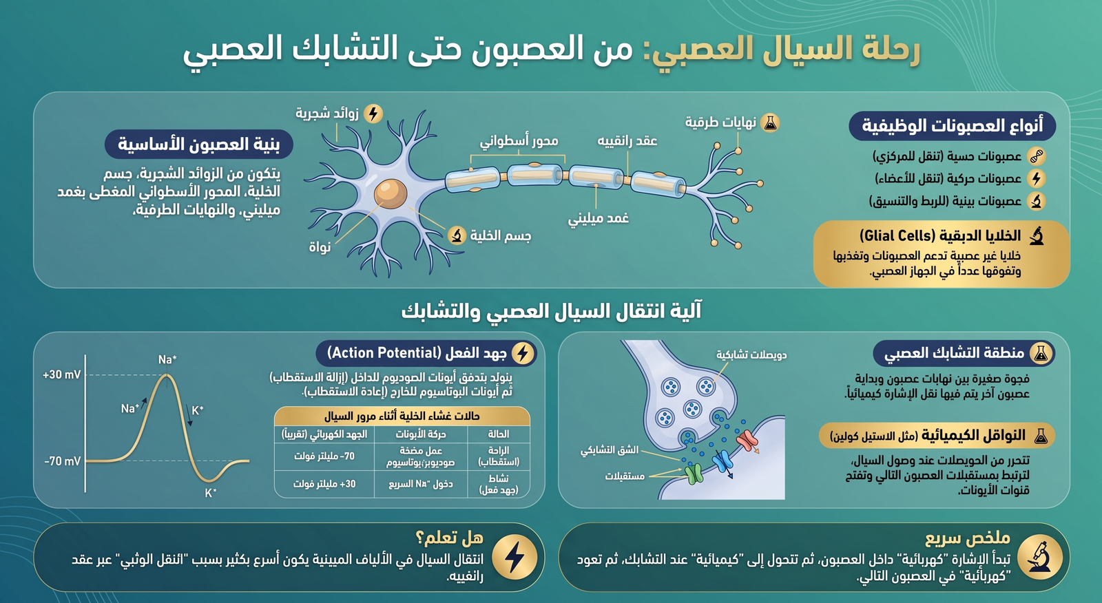 رحلة انتقال السيال العصبي