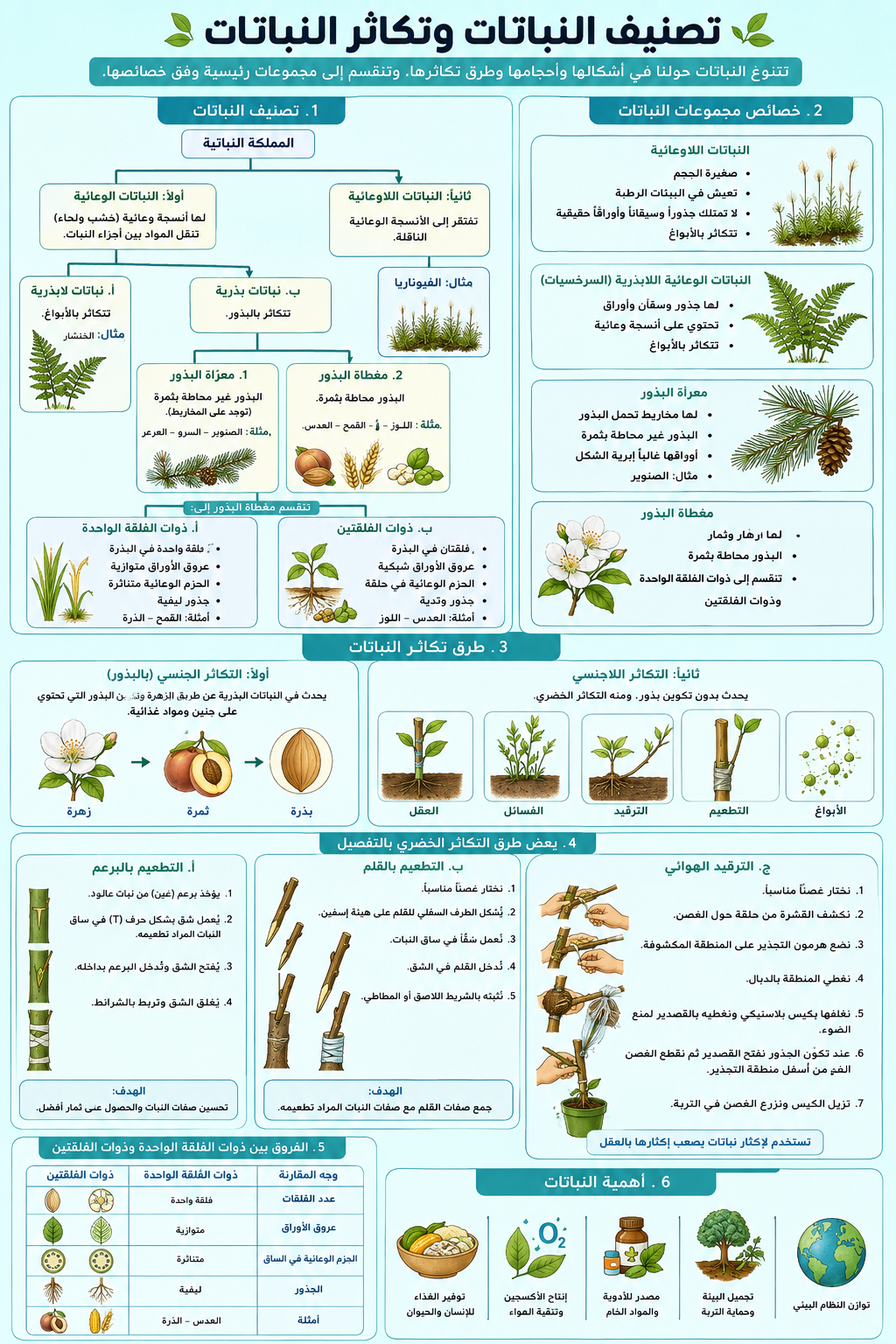 تصنيف النباتات