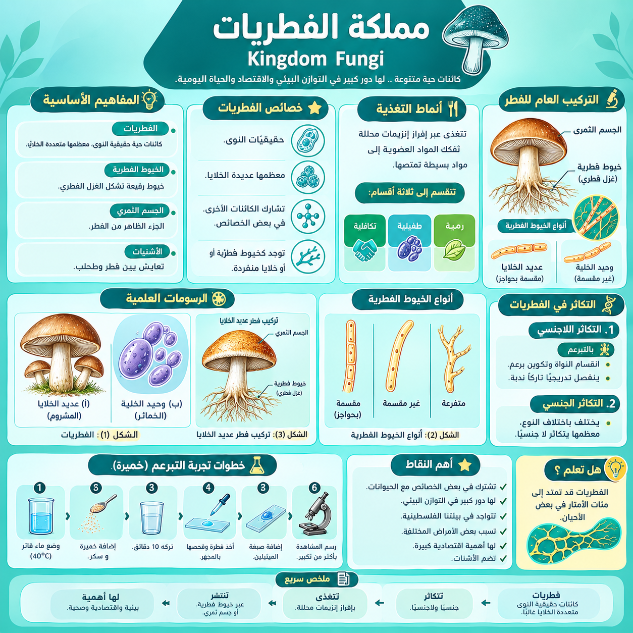 الفطريات