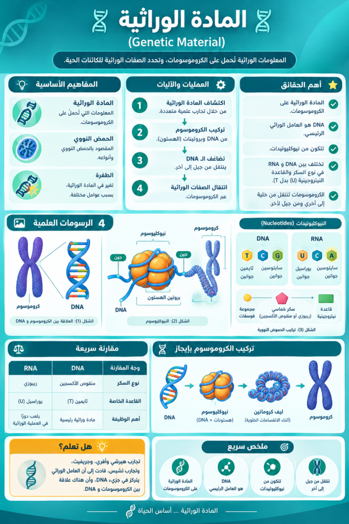 المادة الوراثية عاشر