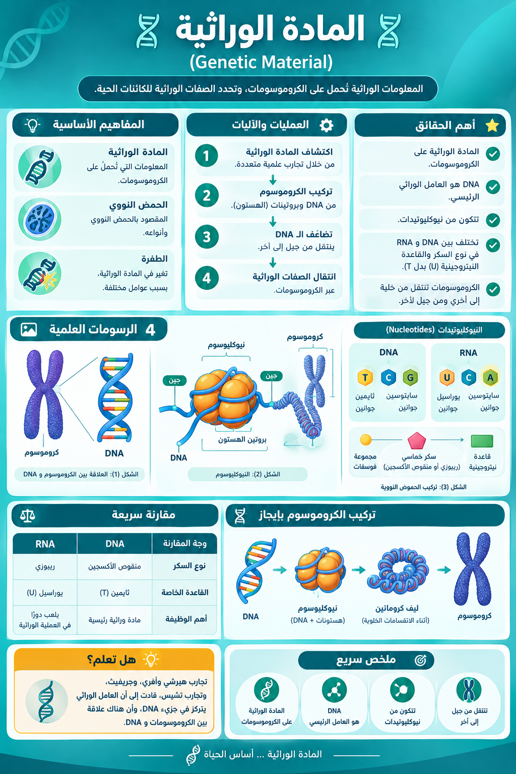 المادة الوراثية عاشر